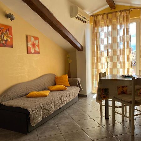Apartments Tajana Novigrad Istria Εξωτερικό φωτογραφία