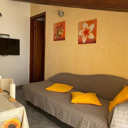 Apartments Tajana Novigrad Istria Εξωτερικό φωτογραφία